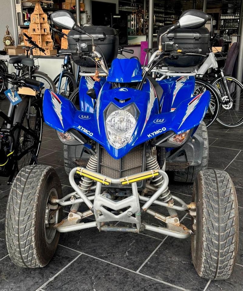 Kymco L3 Maxxer 300 Sport Quad 2011 — rear view