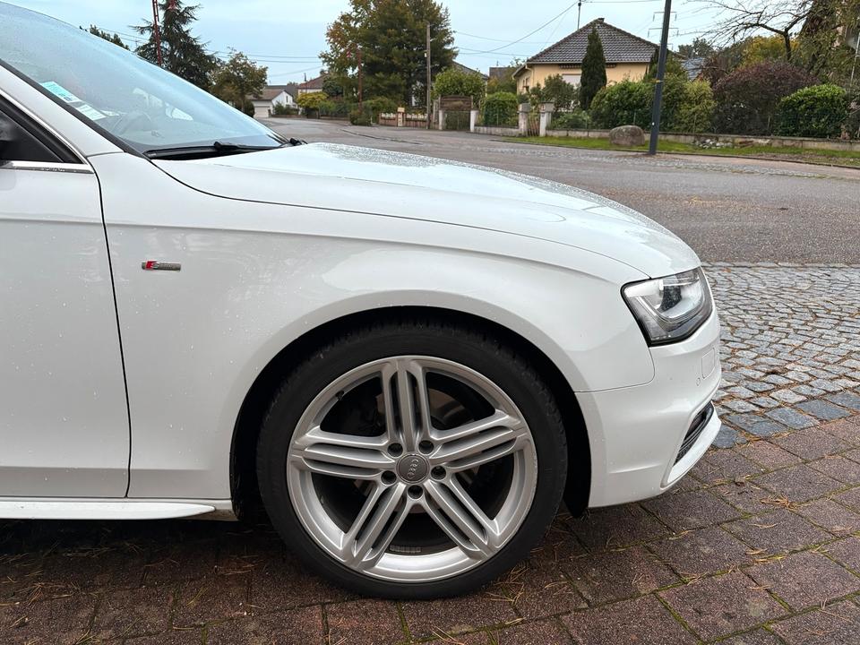 Audi A4 2014 — photo 6