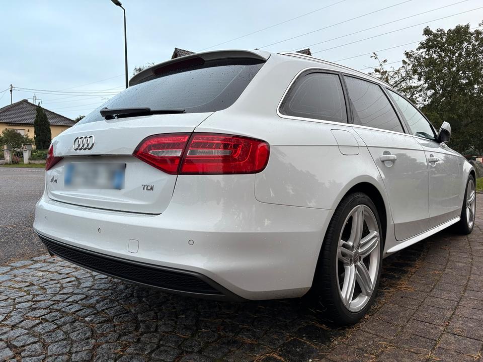 Audi A4 2014 — photo 7