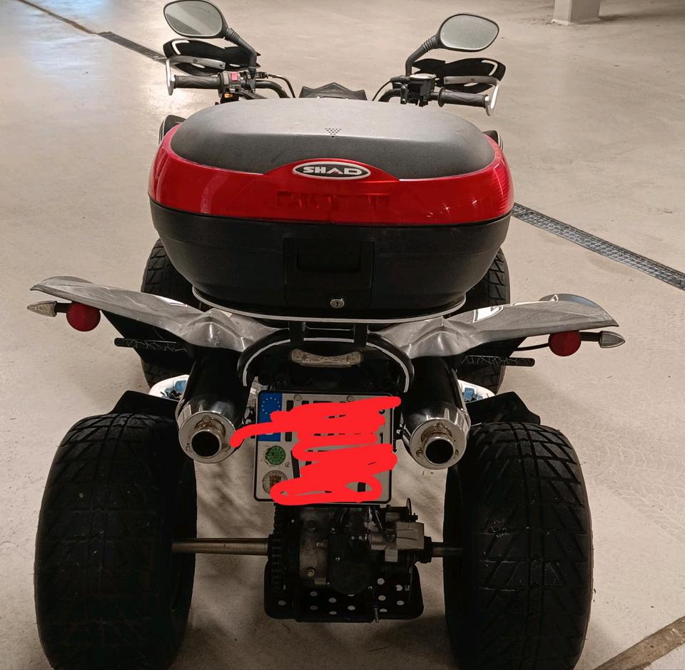 Weitere Motorräder Quad CPI FA XS 250 ATV 2009 — rear view