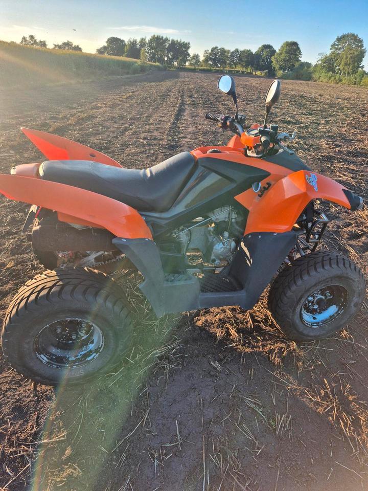  Adly Hurricane 320 Quad 2010 — rear view