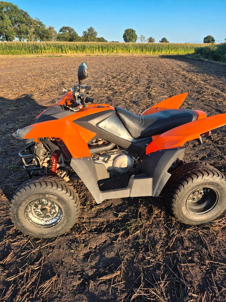  Adly Hurricane 320 Quad 2010 — engine 280 ccm