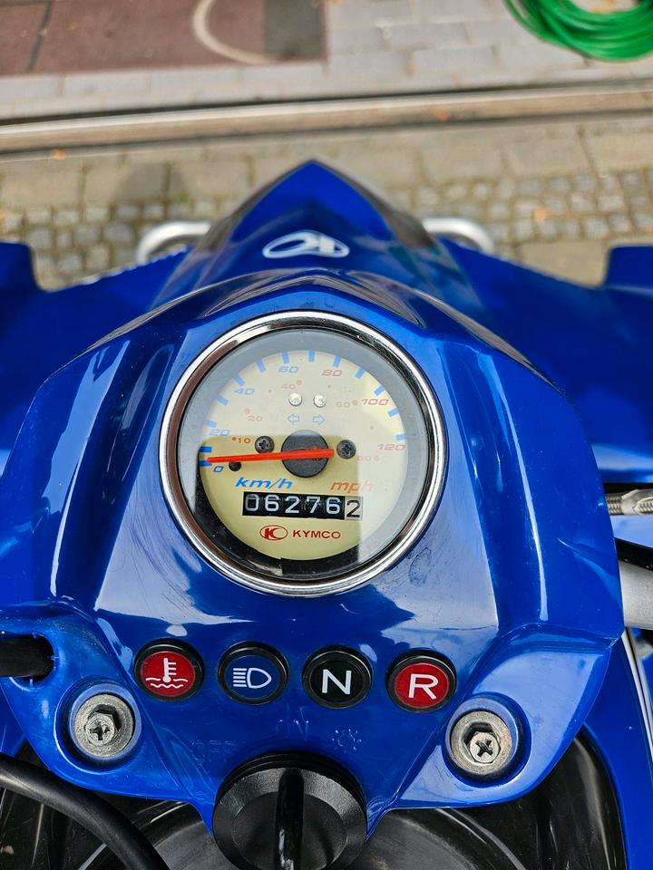 Kymco Quad Kymco Maxxer 300 2011 — photo 10