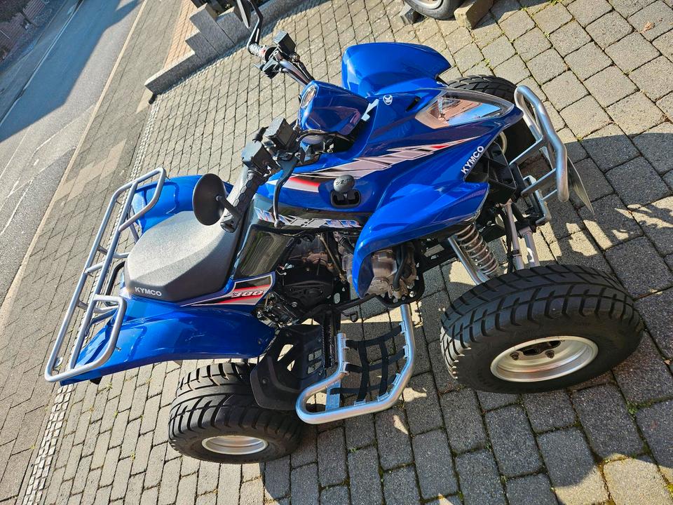 Kymco Quad Kymco Maxxer 300 2011 — rear view