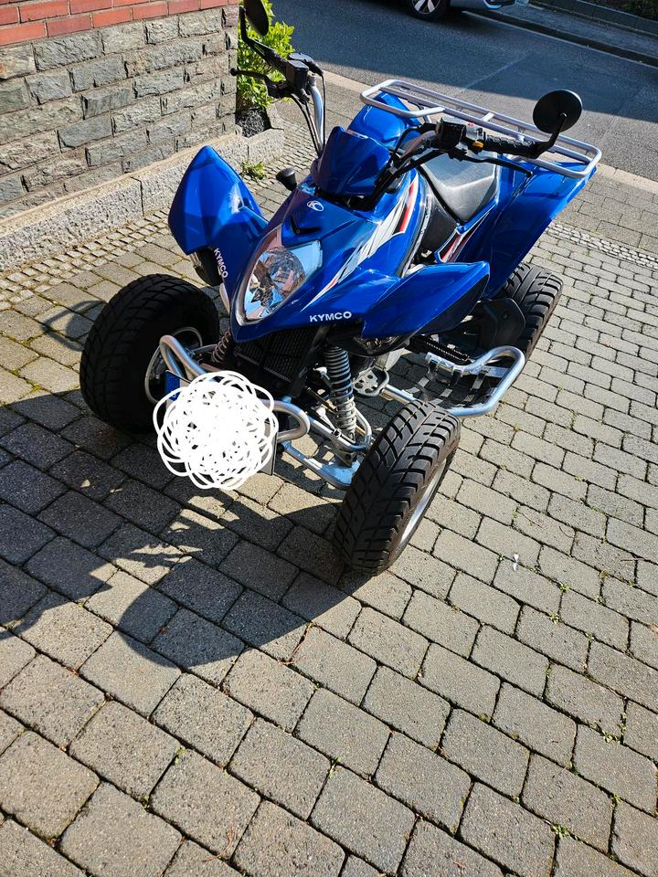 Kymco Quad Kymco Maxxer 300 2011 — interior