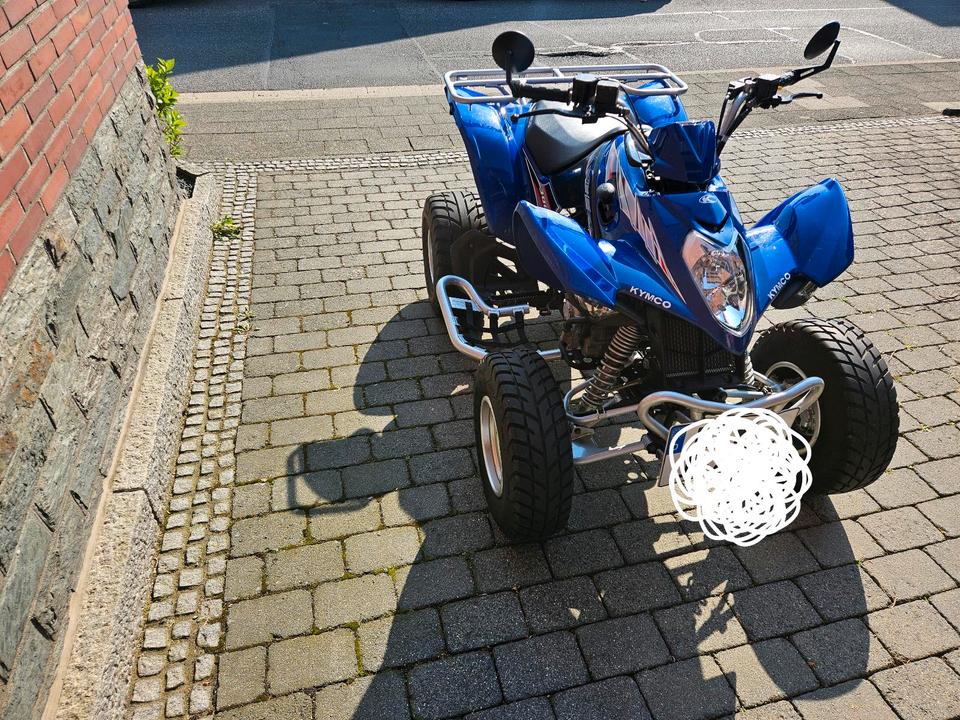 Kymco Quad Kymco Maxxer 300 2011 — engine