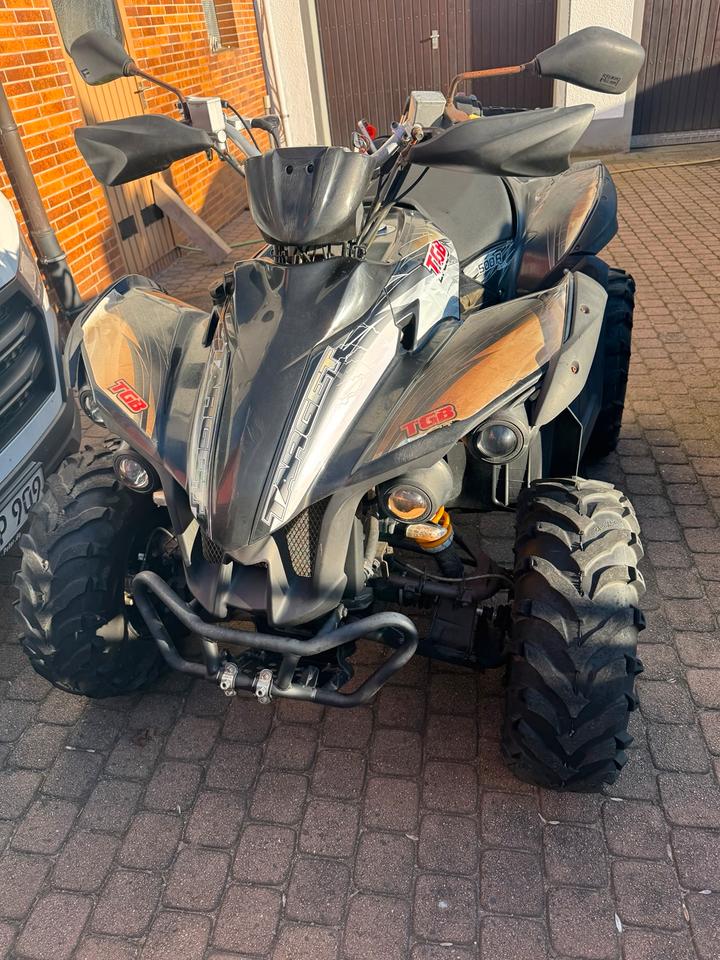 Weitere Motorräder TGB Quad Automatik 2012 — вигляд ззаду