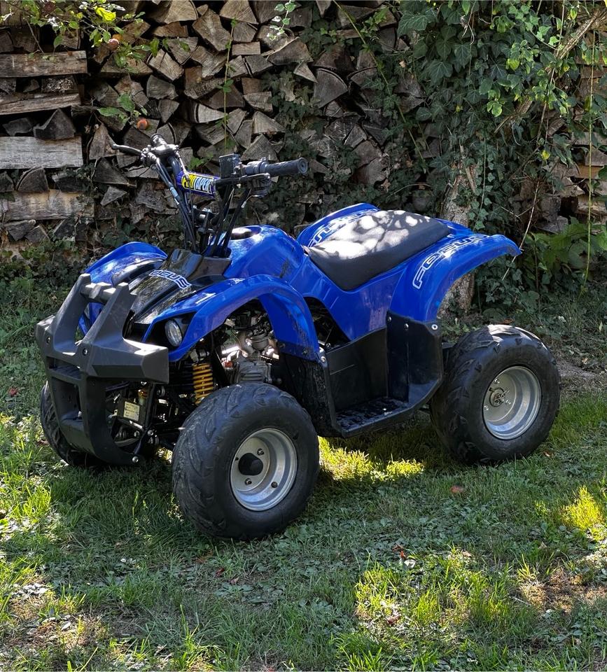 Weitere Motorräder Reserviert •Kinder/ Jugend Quad 110ccm Fahrbereit! mit Licht wie Pit bike 125 2009 — rear view