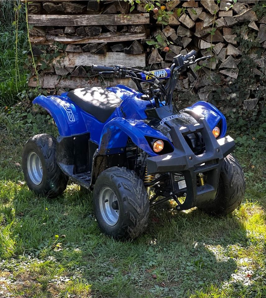 Weitere Motorräder Reserviert •Kinder/ Jugend Quad 110ccm Fahrbereit! mit Licht wie Pit bike 125 2009 — photo 8
