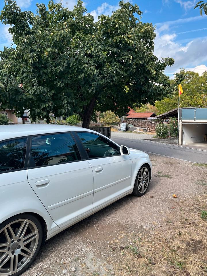 Audi A3 2008 — photo 5
