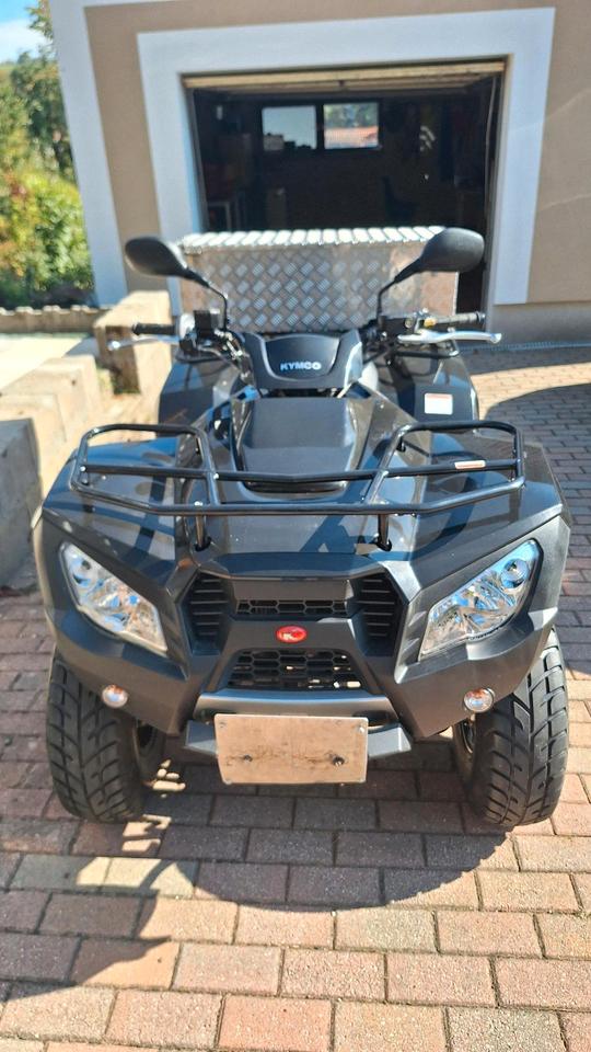 Kymco Quad MXU300R 2011 — photo 5