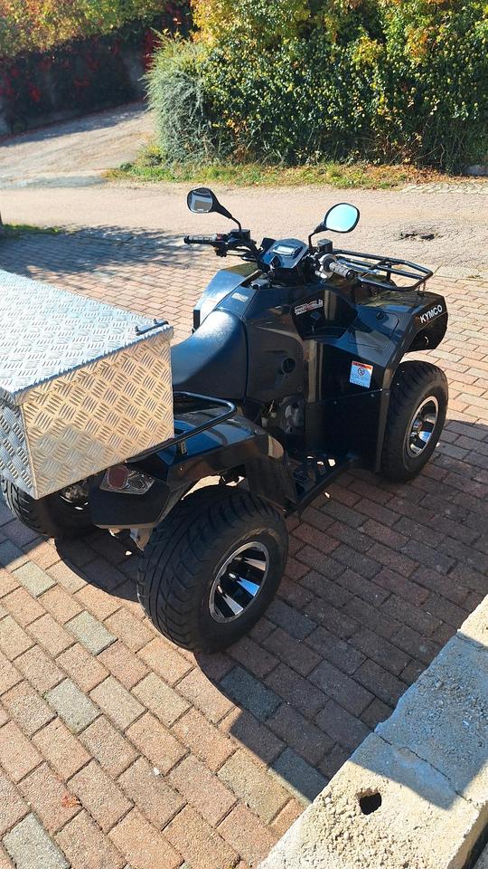 Kymco Quad MXU300R 2011 — photo 6