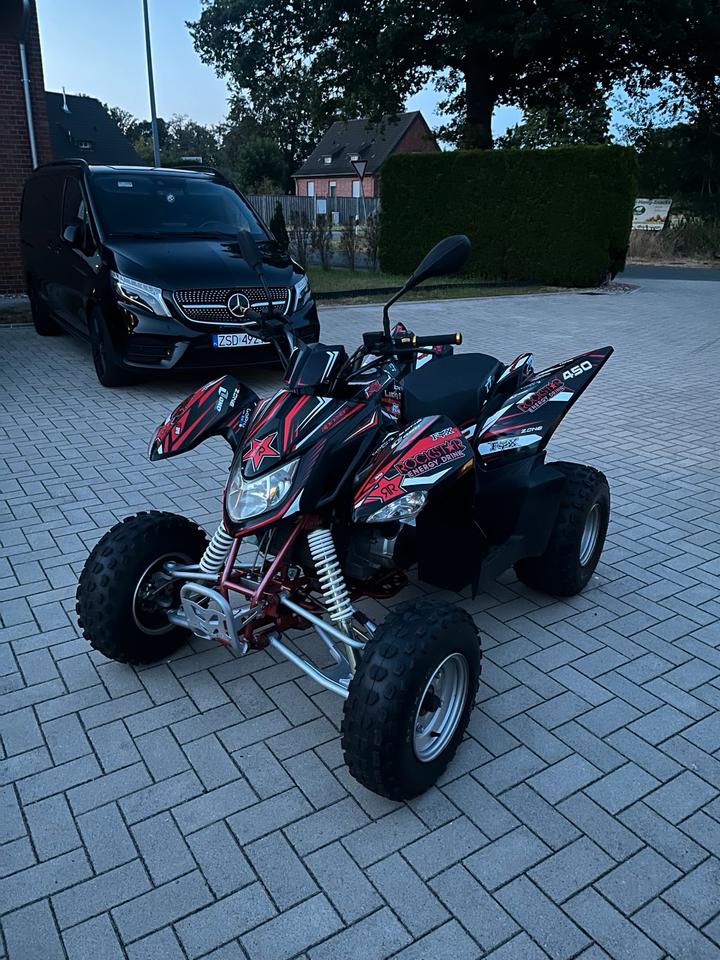 Weitere Motorräder Gelöscht • Quad Access 250 2012 — вигляд ззаду