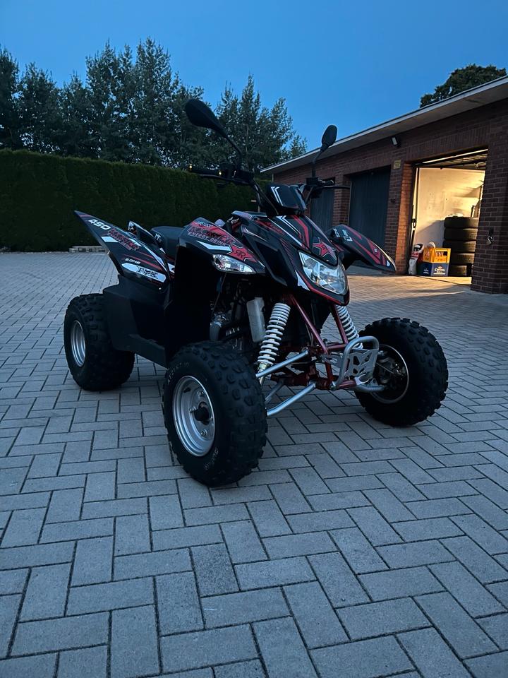 Weitere Motorräder Gelöscht • Quad Access 250 2012 — фото 5
