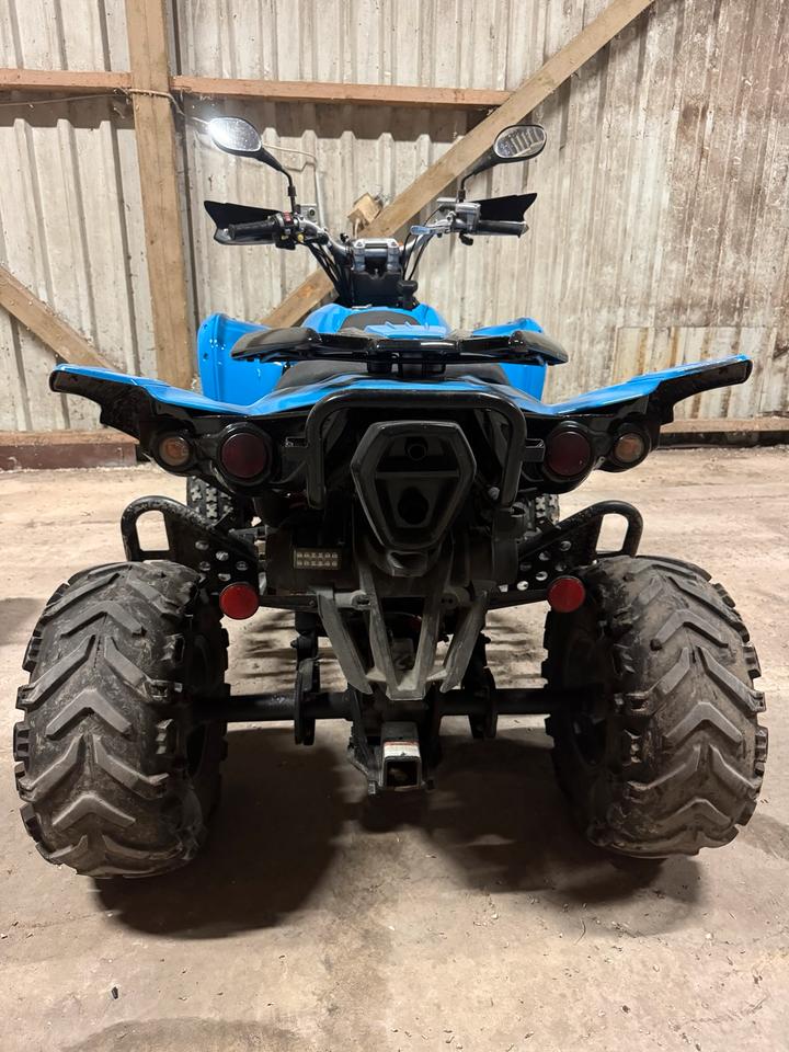  TGB Target 525 4x4 – Allrad – 2 Jahre TÜV – läuft top! 2009 — engine 500 ccm