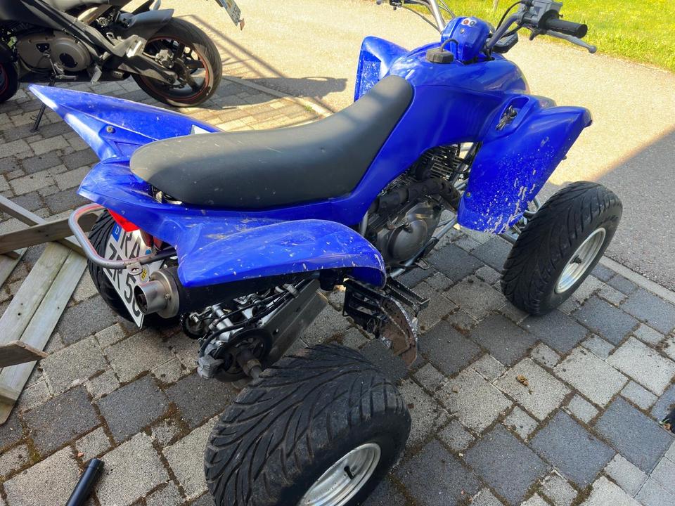 Yamaha Raptor 350ccm 2005 — вигляд ззаду