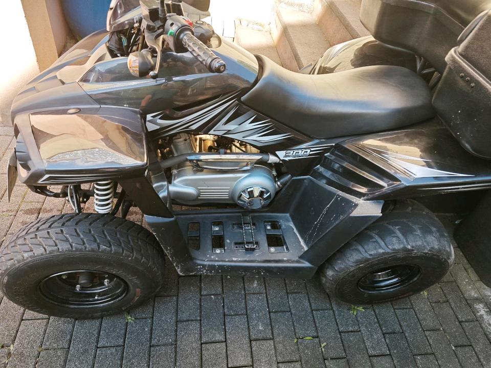 Weitere Motorräder Verkaufe Quad 2015 — rear view
