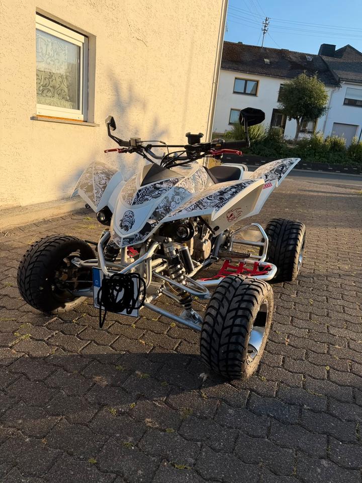 Weitere Motorräder SMC 500 Canyon 2013 — rear view