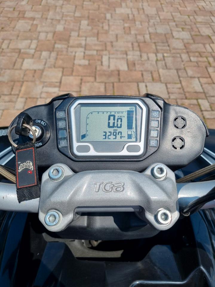  Gelöscht • Quad TGB Target 325 2014 — photo 6