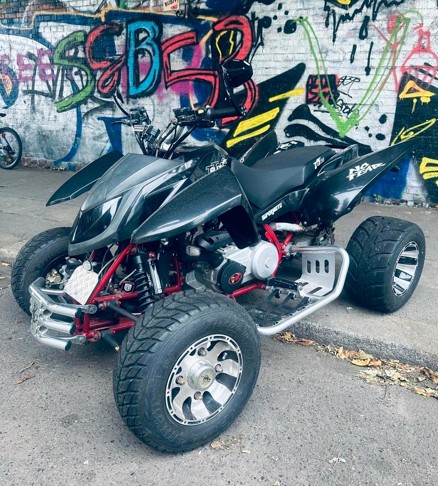 Weitere Motorräder Quad Access sp400 2015 — вигляд ззаду