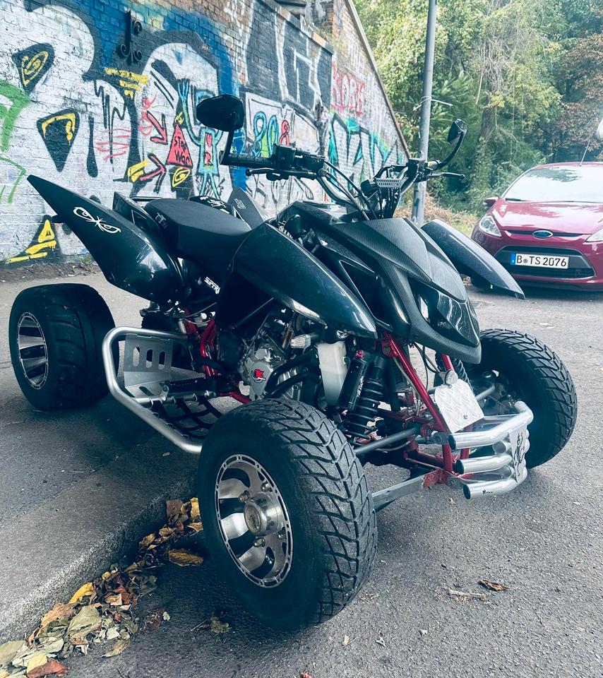 Weitere Motorräder Quad Access sp400 2015 — фото 7
