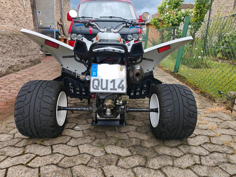 Weitere Motorräder Triton Reactor 450 Supermoto 2012 — вигляд ззаду