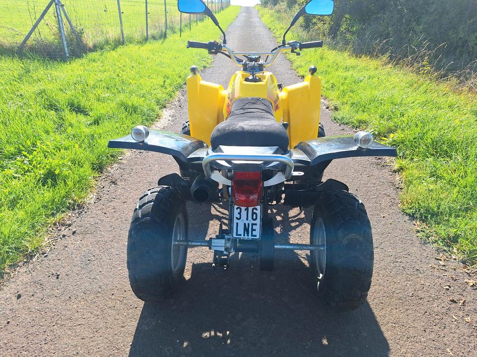 Weitere Motorräder Gelöscht • Adly Herkules Quad ATV 50 Super Sonic XXL 45kmh 2006 — фото 8