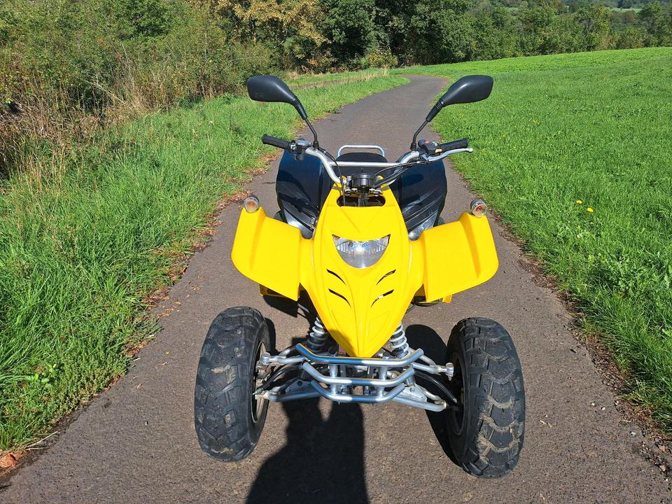 Weitere Motorräder Gelöscht • Adly Herkules Quad ATV 50 Super Sonic XXL 45kmh 2006 — фото 9
