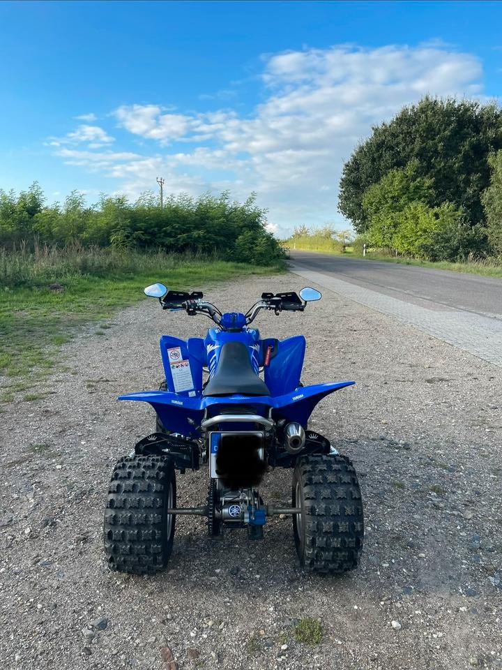 Yamaha Gelöscht • Yfm Raptor 350r 2007 — engine 350 ccm
