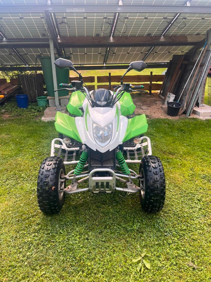 Weitere Motorräder Arctic Cat DVX 300 Quad, 2011