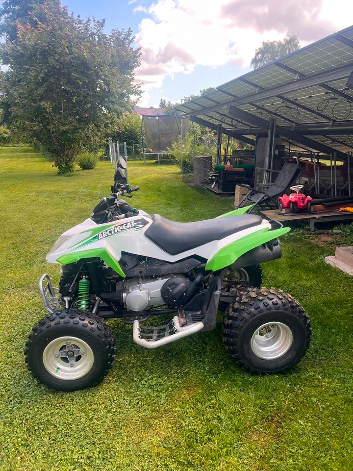 Weitere Motorräder Arctic Cat DVX 300 Quad 2011 — rear view