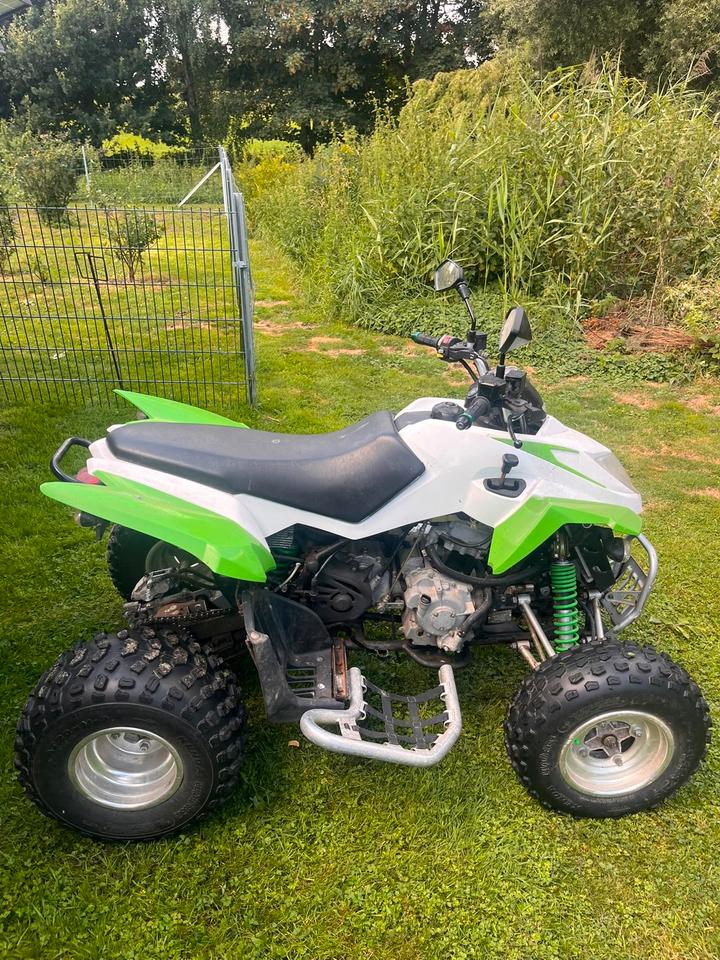 Weitere Motorräder Arctic Cat DVX 300 Quad 2011 — interior
