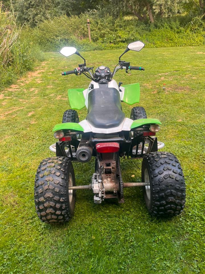 Weitere Motorräder Arctic Cat DVX 300 Quad 2011 — engine 280 ccm