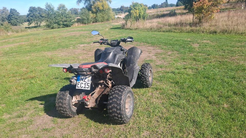 Weitere Motorräder Quad Triton Acces extreme 300 2013 — rear view