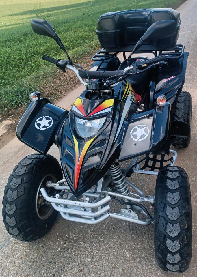 Weitere Motorräder Quad 50 ccm Hercules Adly 2Mann Zulassung! Rückwärtsgang 2005 — вигляд ззаду
