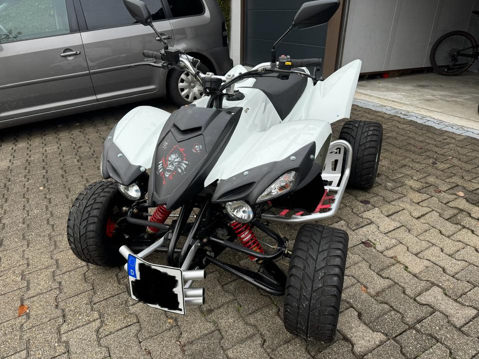 Beeline Bestia 5.5 Haarriss im Motor Quad ATV 50PS
