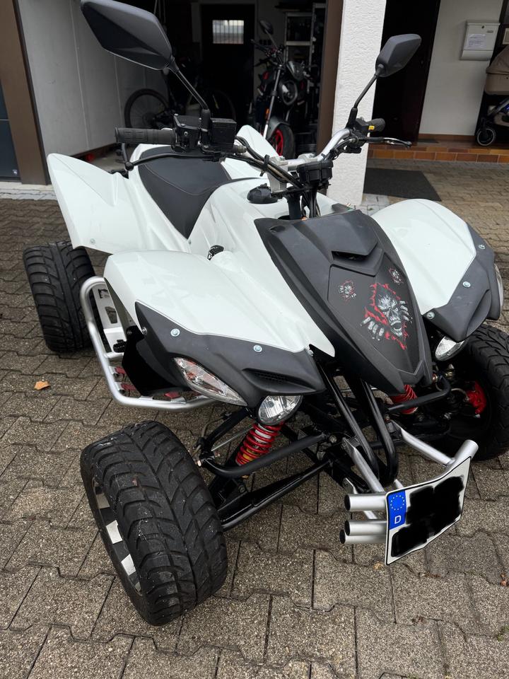  Beeline Bestia 5.5 Haarriss im Motor Quad ATV 50PS 2013 — rear view